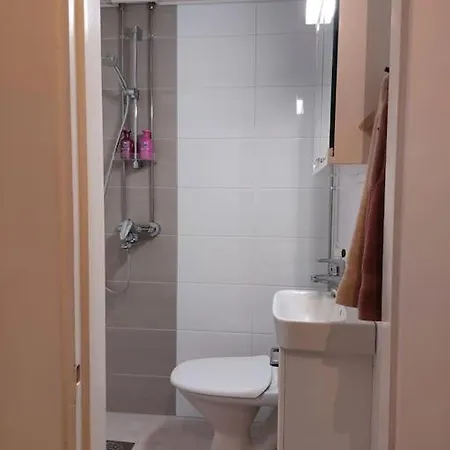Daire Idyllinen Kaksio Puistokadulla *